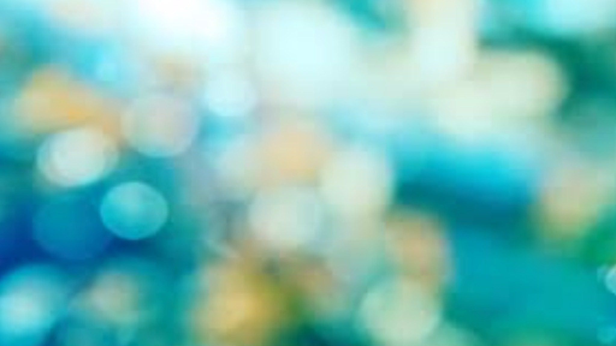 Picsart banner for @wholly