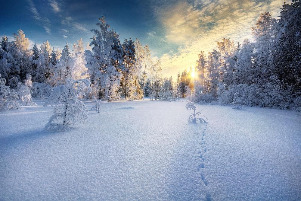 Finland landscape